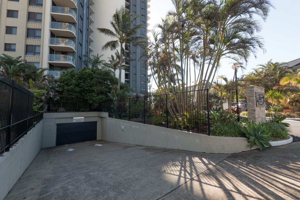 Princess Palms -1120688