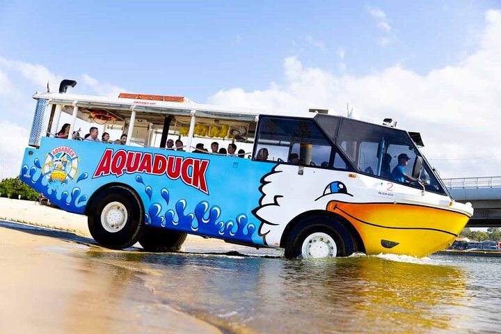 Top Gold Coast Tours Locals Recommend