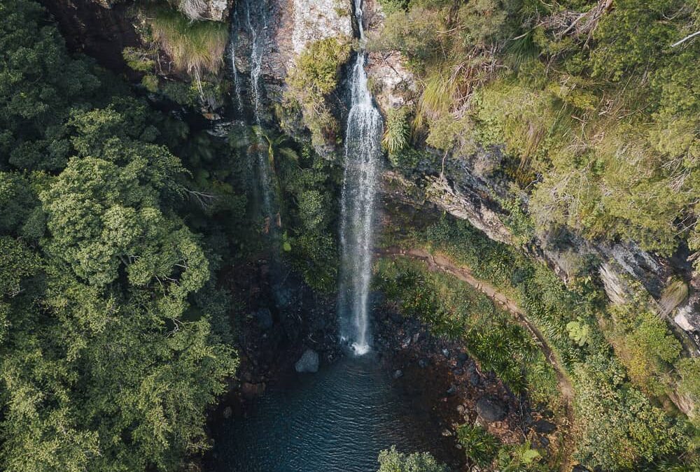 Best Hikes Gold Coast: Top Picks for Spring Adventures